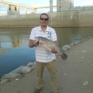 Meet your Posher, Bill